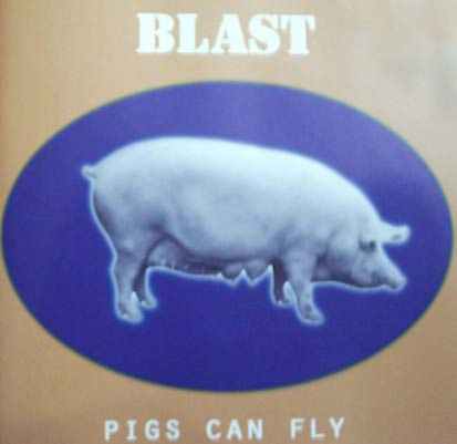 Pigs can fly